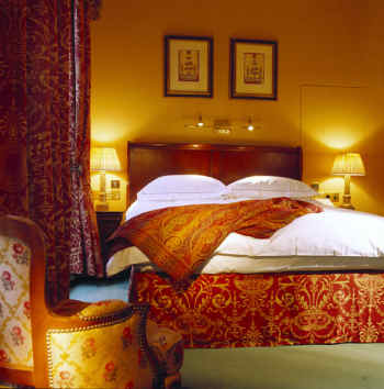 superior One Bedroom Suite
