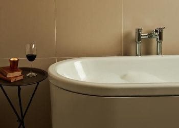 The Bull and The Hide