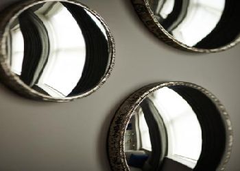 The Bull and The Hide