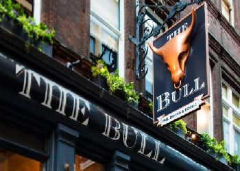 The Bull and The Hide