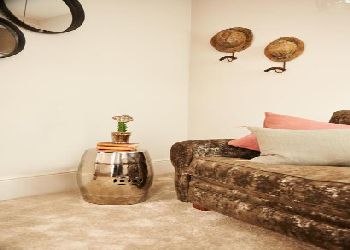 The Bull and The Hide