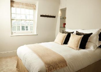 The Bull and The Hide