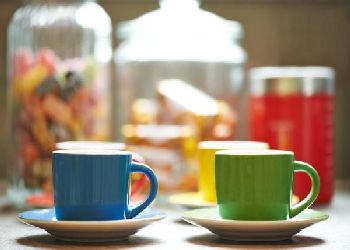 The Bull and The Hide