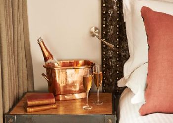 The Bull and The Hide