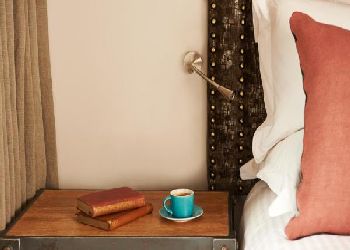 The Bull and The Hide