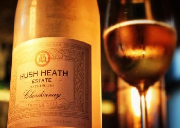 The Bull and The Hide