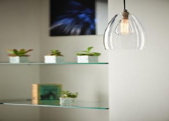 The Bull and The Hide