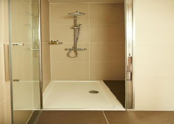 The Bull and The Hide