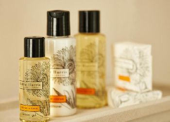 The Bull and The Hide