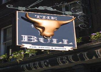 The Bull and The Hide