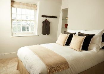 The Bull and The Hide