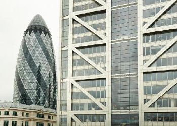 The Bull and The Hide