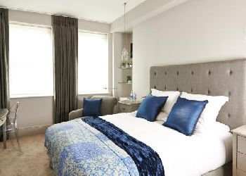 The Bull and The Hide