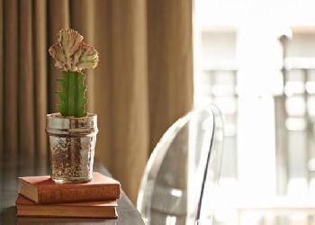 The Bull and The Hide