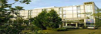 hilton croydon