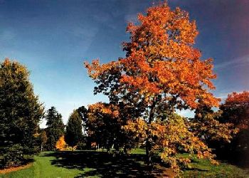 West Lodge Park Hotel - Barnet