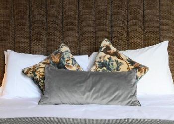 Tulse Hill Hotel