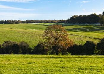 Holiday Inn Express Epsom Downs