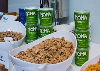 Holiday Inn Express Vauxhall Nine Elms