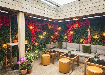 The Hari London