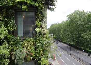 Athenaeum Hotel And Apartments