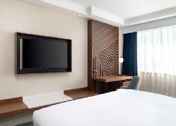 Hilton Metropole 
